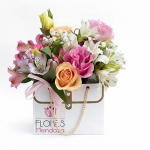 Mini Bag