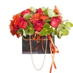Mini Bag Rojo