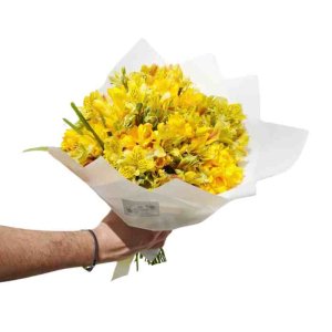 Bouquet de fresias amarillas y margaritas .
